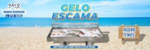 Gelo Curitiba, Monte Evereste, Distribuidora de Gelo